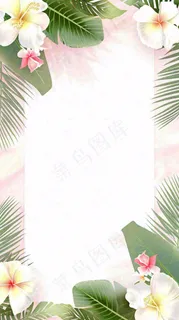 粉色鲜花绿植清新插画，书信书签邀请函