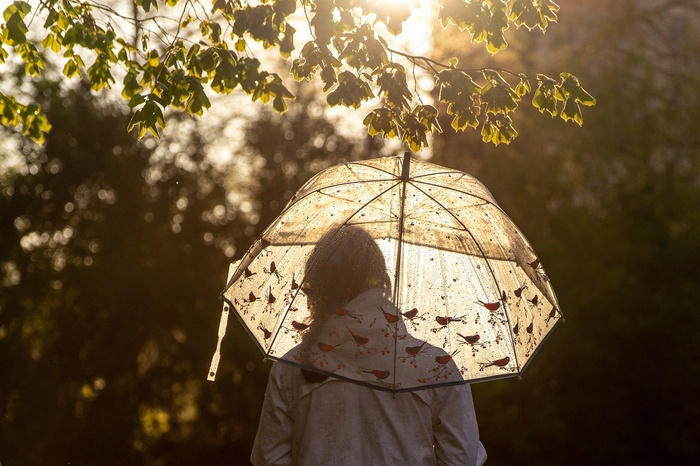 伞阳光女子雨光女孩枝杈