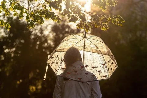 伞阳光女子雨光女孩枝杈 伞阳光女子雨光女孩枝杈
