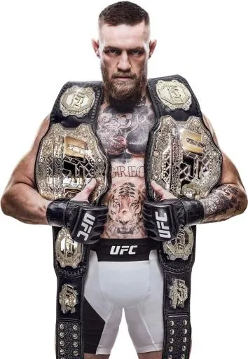 终极格斗冠军赛 PNG免抠(898x1297)