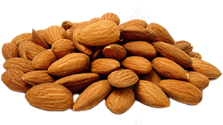 扁口核桃免抠图片