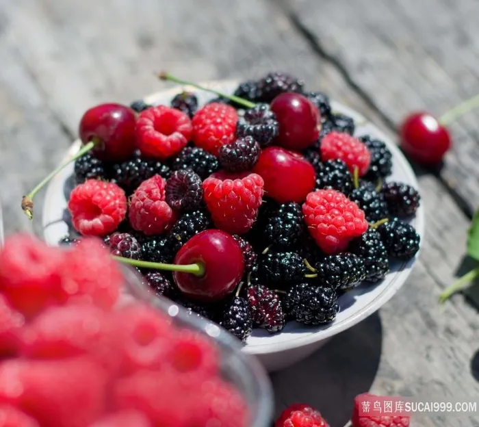 野生水果桑葚图片
