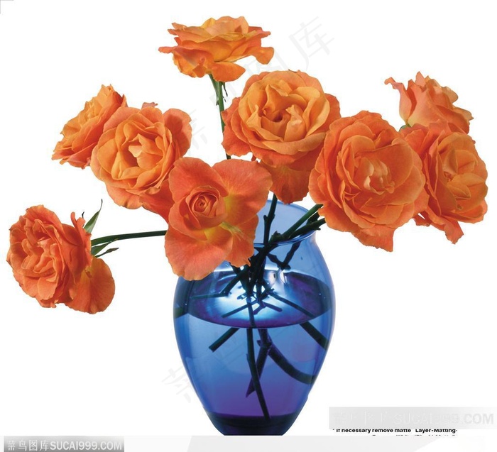 玫瑰花束-蓝色花瓶中橙色玫瑰