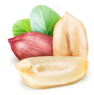 美味可口的红皮花生米高清图片素材 美味可口的红皮花生米高清图片素材