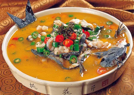 96x-026葱椒鮰鱼 96x-026葱椒鮰鱼