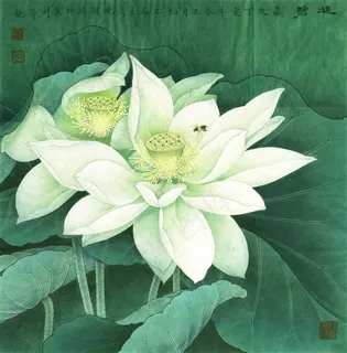 凝碧荷花工笔画 凝碧荷花工笔画