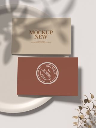 高端大气商务名片样机