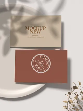 高端大气商务名片样机