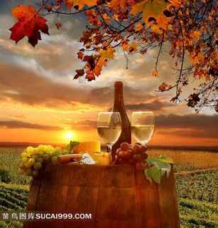 葡萄庄园黄昏唯美意境