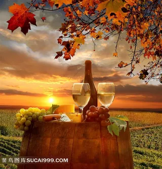 葡萄庄园黄昏唯美意境
