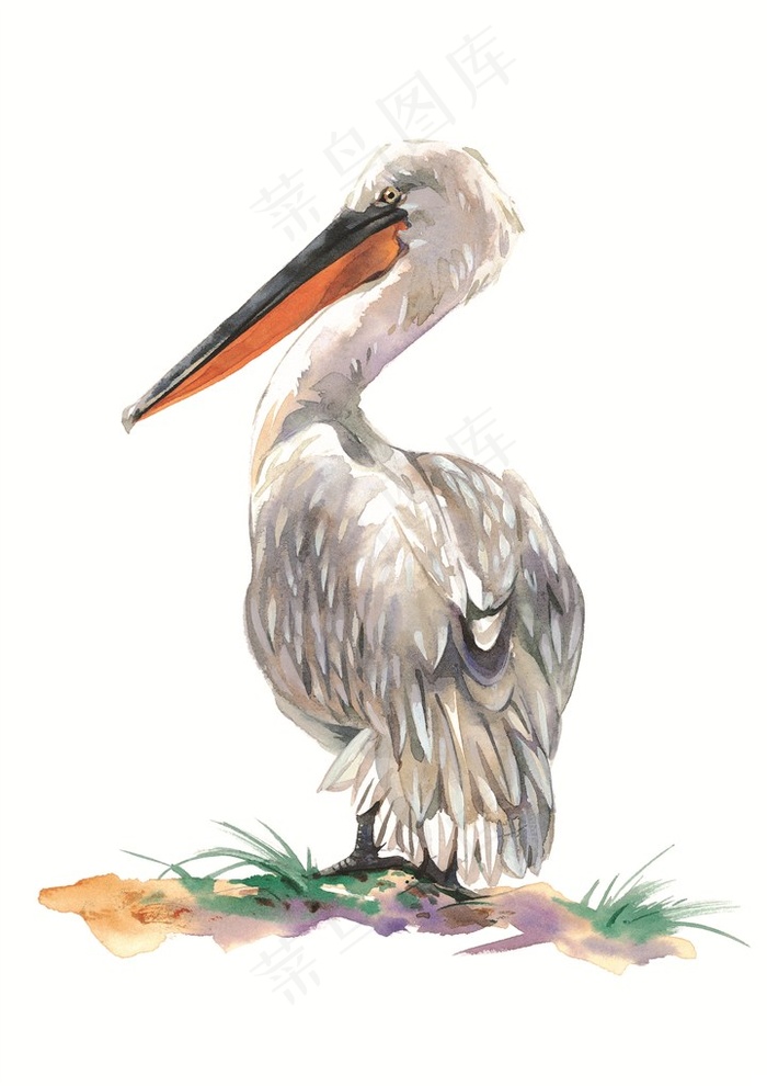 长嘴鸟彩绘素材