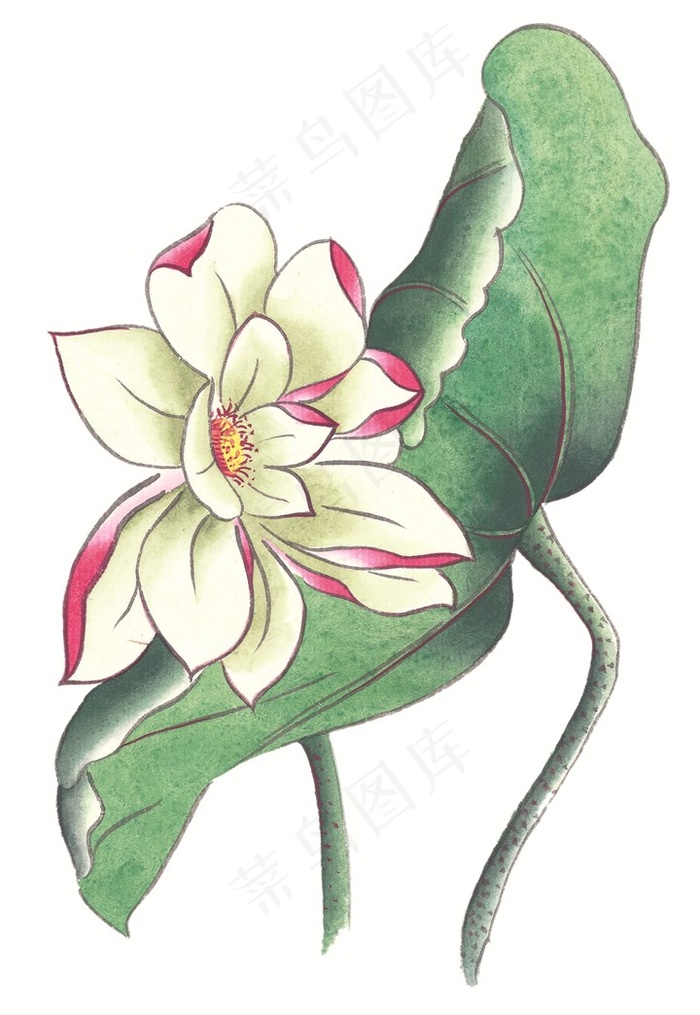 瓜果蔬菜鱼虾蟹高清摄影图片