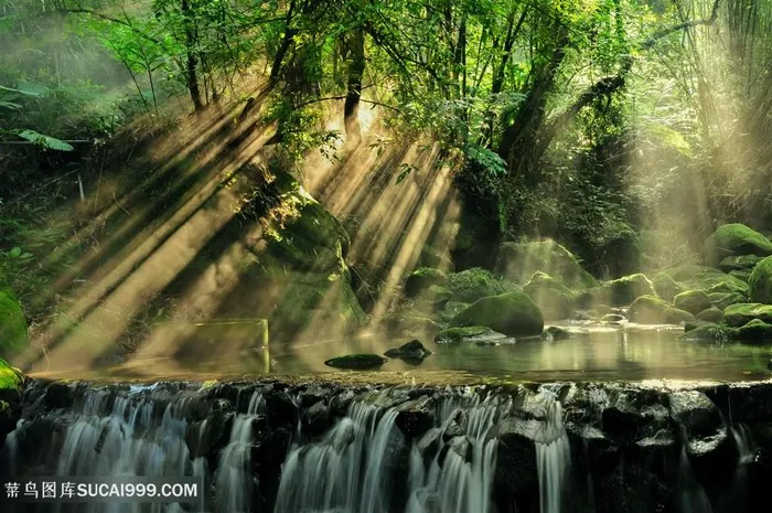 瀑布丁达尔效应森林树林图片
