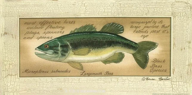 海鱼唯美复古艺术插画