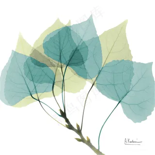 唯美时尚透明树枝装饰画