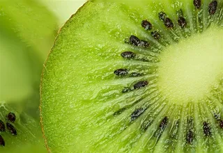 猕猴桃切面特写高清图片