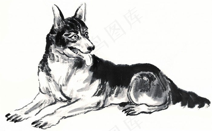 家畜欣赏图片素材