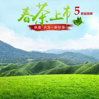 春茶节新茶上市茶叶电商主图banner海报pc端移动端首页模板