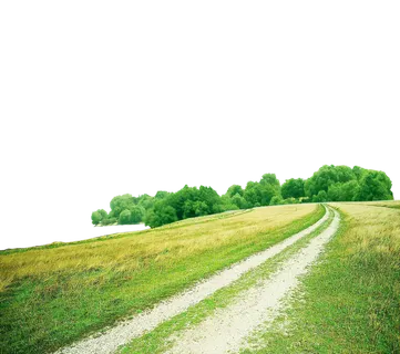 树丛与草地小路等风景免抠PNG素材