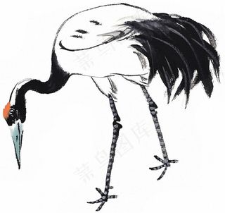 国画鸟设计美图素材