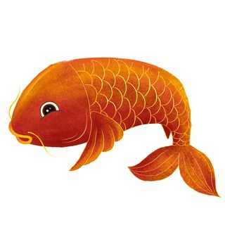 手绘烫金国潮中国风卡通锦鲤鱼金鱼插画装饰元素PSD设计素材