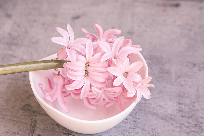 花朵 花束 植物 素材 (212)