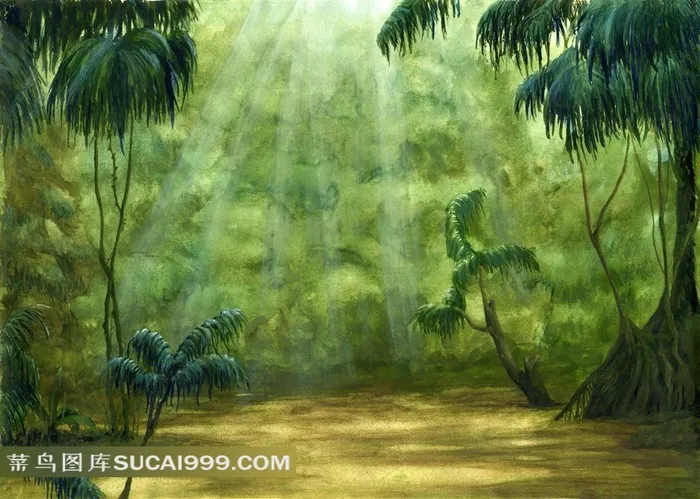 森林中洒落进的阳光
