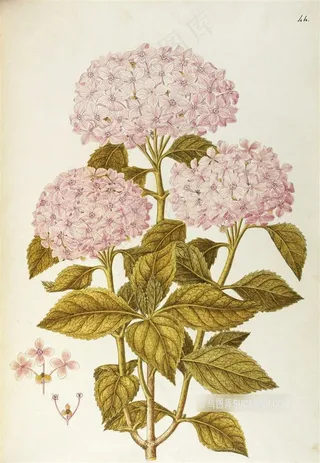 复古绣绣花花卉