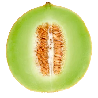 哈密瓜免抠素材 (14)