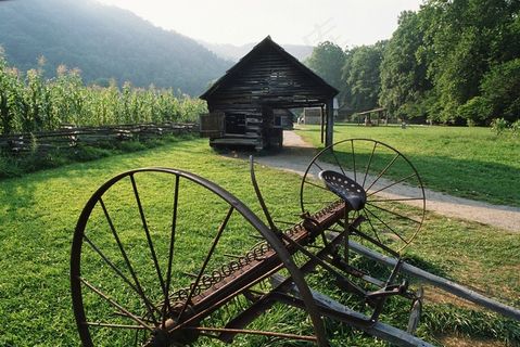 树林前草地上小木屋前的割稻机