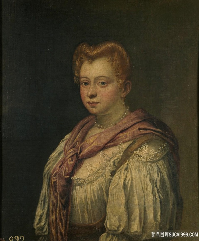 丁托列托，年轻的威尼斯人