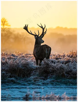 装饰画|客厅|海报画|电表箱装饰画|挂画