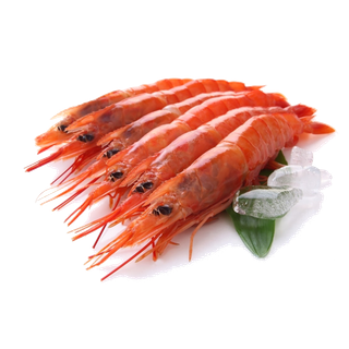 虾类(48)海鲜超市商品红酒白底图免抠实物摄影png格式图片透明底