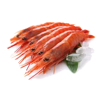 虾类(48)海鲜超市商品红酒白底图免抠实物摄影png格式图片透明底