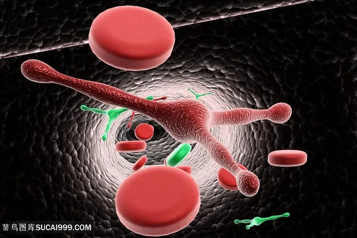 病毒微生物高清