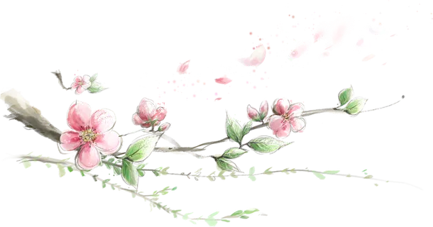 粉色简约风手绘鲜花花朵水墨画PNG素材图片 (23)