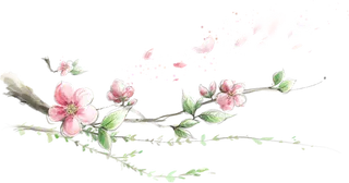 粉色简约风手绘鲜花花朵水墨画PNG素材图片 (23)