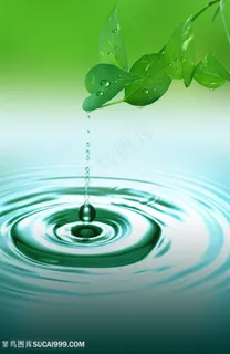 水滴涟漪绿叶图片