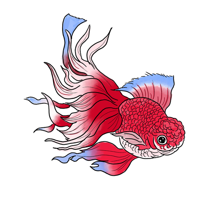 手绘烫金国潮中国风卡通锦鲤鱼金鱼插画装饰元素PSD设计素材