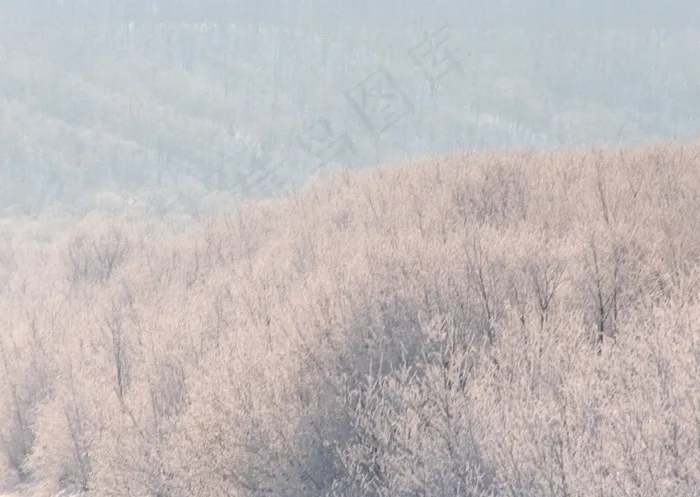 冰天雪地 385