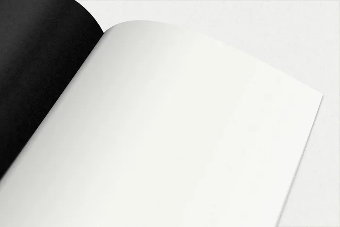 产品画册提案效果样机模板psd模版下载