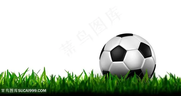 草坪上足球高清图 草坪上足球高清图