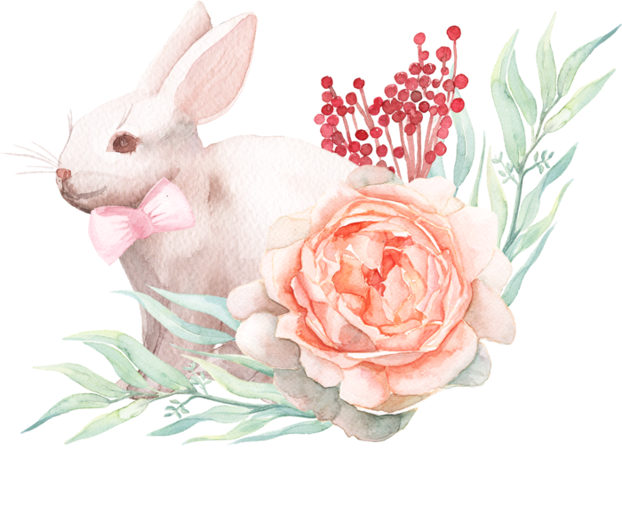 花朵枝桠兔子兔年