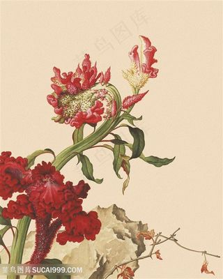 郎世宁 中式高清花卉国画