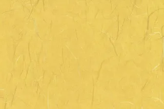 中国风底纹背景再生纸纹理素材黄色