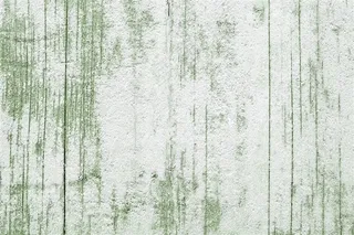 白色绿色的木板