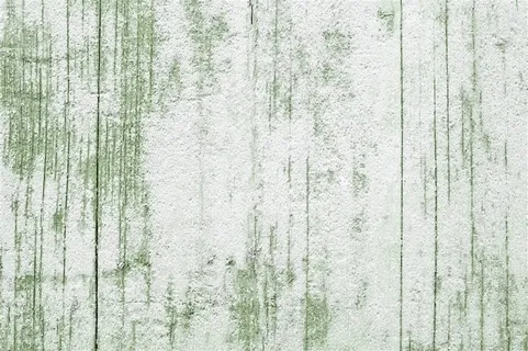 白色绿色的木板 白色绿色的木板