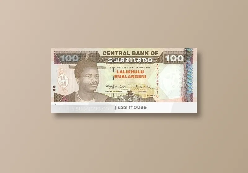 100元外币