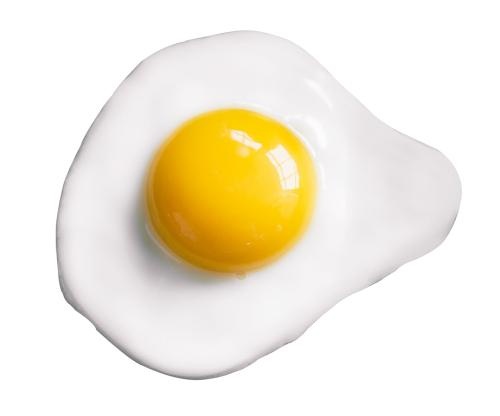 煎蛋 PNG免抠(500x416)