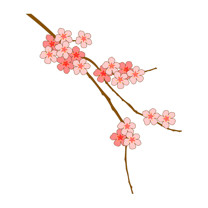 春天浪漫粉红色樱花手绘樱花梅花桃花花朵图片PNG免扣素材